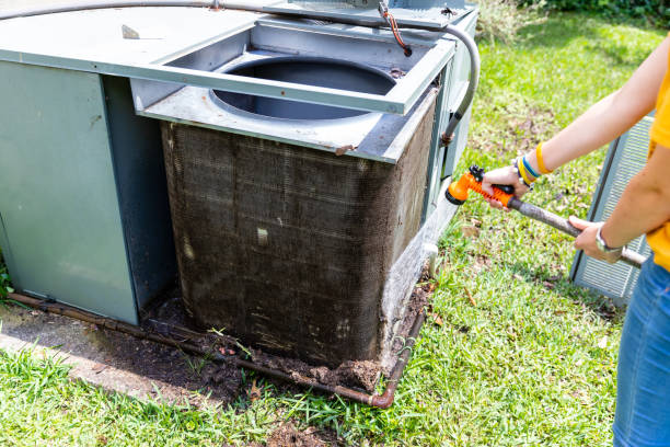 Best Commercial Air Duct Cleaning  in Lexington, MI