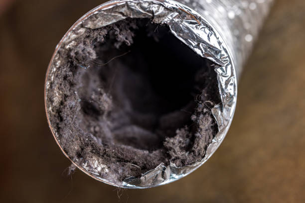 Best Air Duct Cleaning Company Near Me  in Lexington, MI