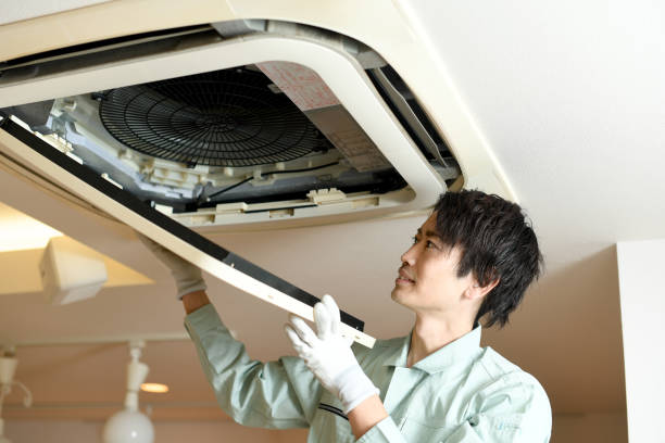 Best Air Duct Inspection  in Lexington, MI