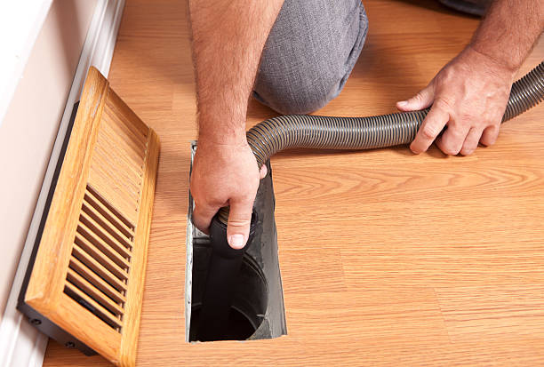 Best Air Vent Cleaning Services  in Lexington, MI