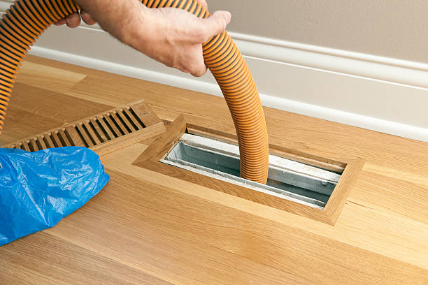 Best Air Duct Cleaning Near Me  in Lexington, MI