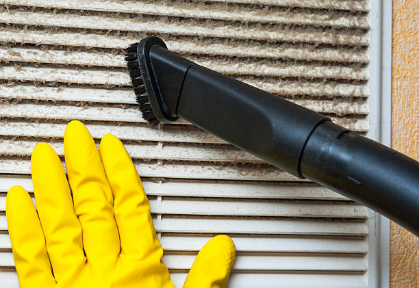 Best Emergency Air Duct Cleaning  in Lexington, MI