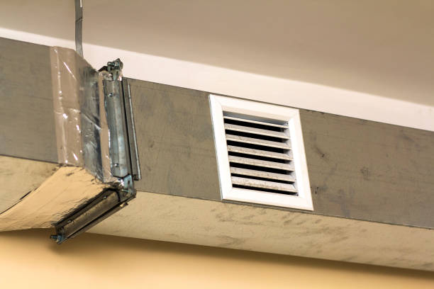 Best Affordable Air Duct Cleaning  in Lexington, MI
